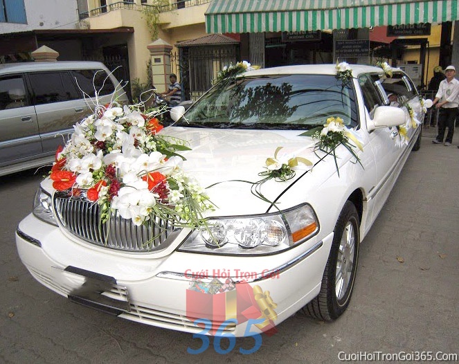 Cho thuê xe cưới 4 chỗ 7 chỗ màu trắng kết hoa lan hồ điệp màu trắng đỏ để đón rước dâu ngày đám cưới X7C01 : Mẫu cưới hỏi trọn gói 365 của công ty dịch vụ trang trí nhà tiệc cưới hỏi đẹp rẻ uy tín ở tại quận Tân Phú Sài Gòn TPHCM Gò Vấp