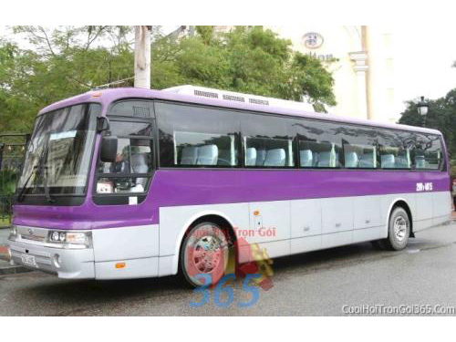 Shop dịch vụ cưới hỏi cưới hỏi 365 | công ty, shop cưới hỏi: trang trí nhà đám cưới, bàn thờ gia tiên, cắt dán chữ; cổng hoa tươi, cổng hoa vải, hoa cầm tay, hoa để bàn, hoa trang trí ngày cưới; mâm quả cưới hỏi, nhân sự bưng quả ; cho thuê bàn ghế, nhà bạt, khung rạp - Cho thuê xe 16 25 45 chỗ tím để đưa rước khách đám cưới, đám hỏiXK09