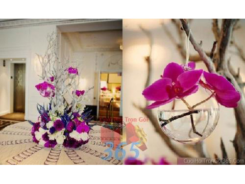 Phụ kiện đám cưới lọ hoa thủy tinh lan hồ điệp dùng để trang trí bàn ký tên đón khách, không gian tiệc cưới nhà PKC64 : Mẫu cưới hỏi trọn gói 365 của công ty dịch vụ trang trí nhà tiệc cưới hỏi đẹp rẻ uy tín ở tại quận Tân Phú Sài Gòn TPHCM Gò Vấp