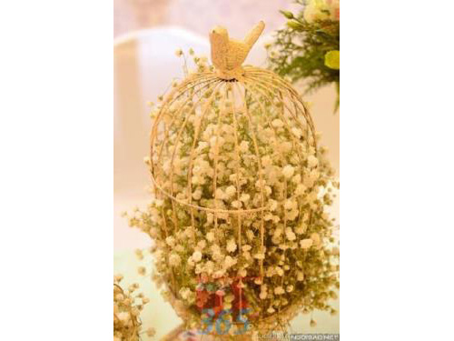 Phụ kiện đám cưới lồng chim chứa hoa pi trắng dùng để trang trí bàn ký tên đón khách, không gian tiệc cưới nhà PKC67 : Mẫu cưới hỏi trọn gói 365 của công ty dịch vụ trang trí nhà tiệc cưới hỏi đẹp rẻ uy tín ở tại quận Tân Phú Sài Gòn TPHCM Gò Vấp