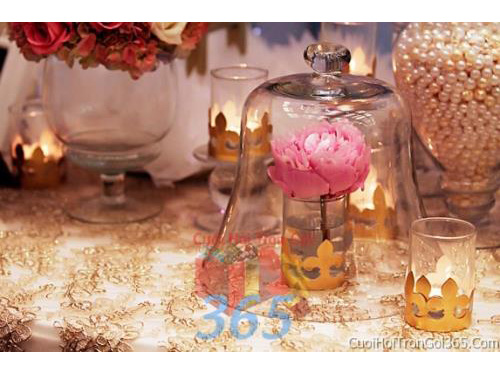 Phụ kiện trang trí đám cưới, không gian tiệc nhà hàng sang trọng ấn tượng PKC24 : Mẫu cưới hỏi trọn gói 365 của công ty dịch vụ trang trí nhà tiệc cưới hỏi đẹp rẻ uy tín ở tại quận Tân Phú Sài Gòn TPHCM Gò Vấp