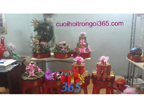 Mâm quả trọn gói trang trí nhà ngày đám cưới MQ50 : Mẫu cưới hỏi trọn gói 365 của công ty dịch vụ trang trí nhà tiệc cưới hỏi đẹp rẻ uy tín ở tại quận Tân Phú Sài Gòn TPHCM Gò Vấp